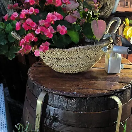 Rural La Raya 1866 Güimar