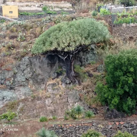 Rural La Raya 1866 Güimar