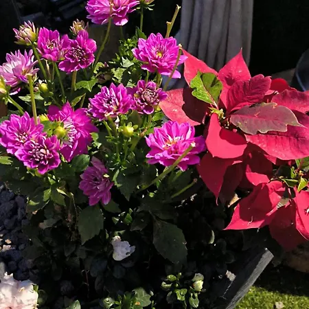 ホテル Rural La Raya 1866 3*