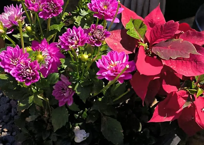 Otel Rural La Raya 1866 3*