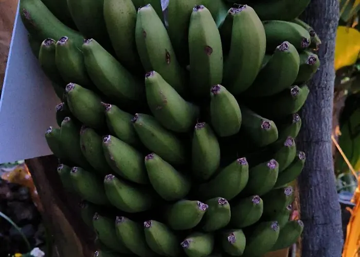 酒店 Rural La Raya 1866 3*