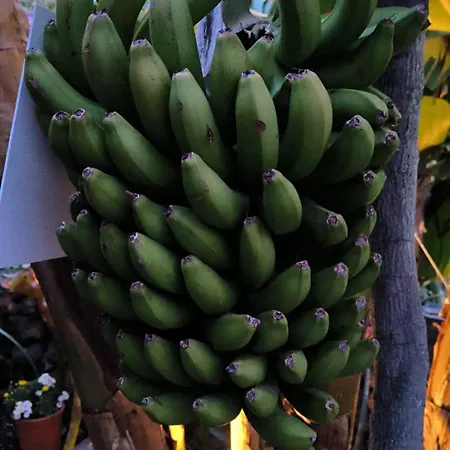 Hotel Rural La Raya 1866 3*