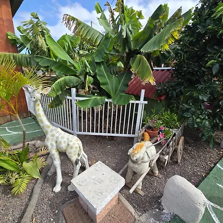 Rural La Raya 1866 Guimar